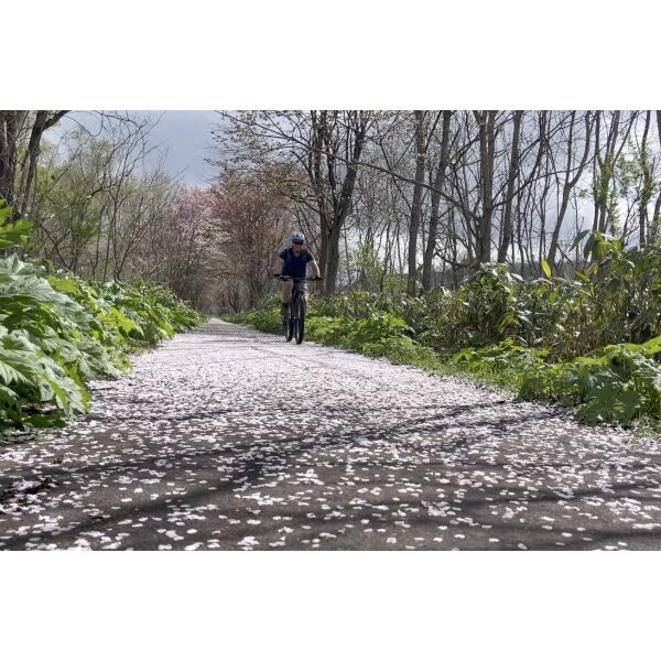Kamui Kotan Journey – Guided E-bike Tour